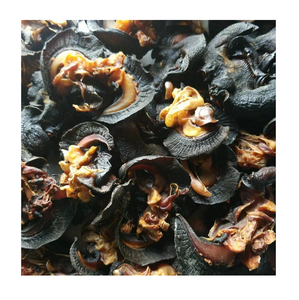 ESCARGOTS DOUX CONGELÉS/ESCARGOT FRAIS AVEC LA MEILLEURE QUALITÉ D'AFRIQUE - Product Image 3