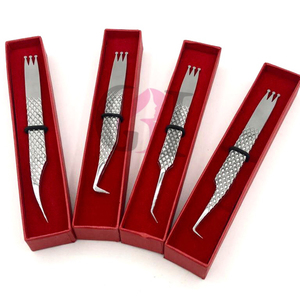 Pince à épiler d'extension de cils en acier inoxydable de nouvelle conception de couronne de style différent argenté de haute qualité avec outil de beauté de Logo personnalisé - Product Image 1