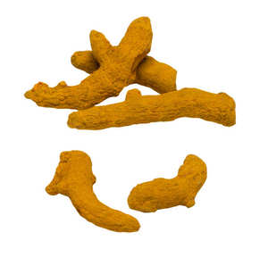 Farm Fresh Turmeric Fingers 100% Natural Sun Dried India Alta calidad RAUTIMPEX INTERNATIONAL 24 meses Las mejores tarifas del mercado indio - Product Image 3