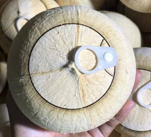 Noix de coco jeune et fraîche du Vietnam pour la production de jus et les services de restauration à grande échelle axés sur les matières premières tropicales naturelles - Product Image 5