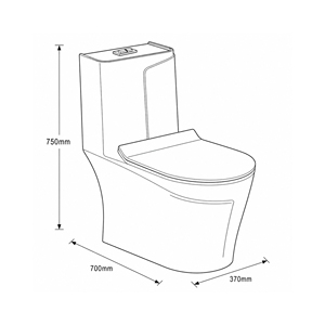 WC monobloc Armano à cuvette allongée, double chasse, siphon en P, à poser au sol, design contemporain, écologique, désodorisant, facile à nettoyer - Product Image 2