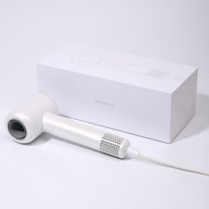 Haute vitesse électrique BLDC Portable ionique air main coup corps complet sans brosse vêtements chaussure Salon sèche-cheveux - Product Image 4