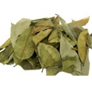 HOJAS SOURSOP-PESICEDE FREE/NATURAL - Product Image 4