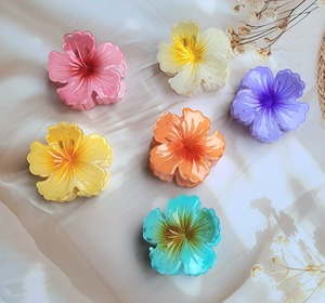 Clips à cheveux de la meilleure qualité pour femmes et filles, pour un usage quotidien et au bureau, disponibles à des prix d'exportation - Product Image 1