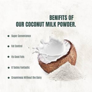 Fabrika kaynağı doğal hindistan cevizi su tozu Mct yağ tozu toplu organik hindistan cevizi sütü tozu - Product Image 6