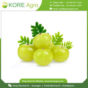 Amla-polvo indio de goosebberry, la mejor calidad, listo para exportarse, cantidad a granel - Product Image 5