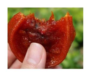 Caqui seco natural de Primera calidad-Tamaño de clase adicional A Estándar DE LA UNECE Caqui seco natural de 2017 de Vietnam - Product Image 4