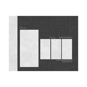 กระเบื้องปูพื้นผิวเรียบทำจากพอร์ซเลนสีเทา600x1200ปูนฉาบผนัง - Product Image 1