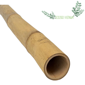Low Price High Quality Bamboo Material Bamboo Poles for Sale Moso <b>Treated</b> Artificial Raw Bamboo Poles From Vietnam - Product Image 5