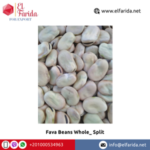 Superlative Quality Organic <b>Kidney</b> and Fava <b>Beans</b> Whole Split Wholesale Sale for Bulk Purchasers - Product Image 5