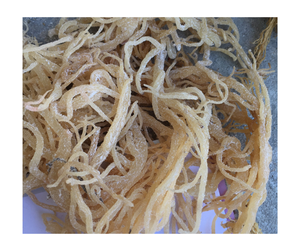 Venta al por mayor a granel Musgo de mar seco de primera calidad Cottonii Seamoss Venta caliente Natural Wildcrafted Pure Export Non GMO Gluten Free Vietnam - Product Image 3