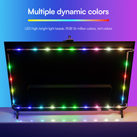 Daybetter Atmosphere habitación dormitorio decoración Smart TV luces de fondo RGBIC Pantalla de sincronización música tira de luces LED con cámara