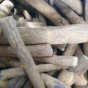 Massularia Acuminata, Cultivo Silvestre - Product Image 3