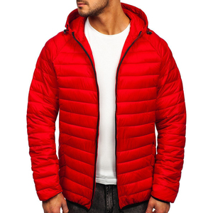 OEM personalizado de los hombres de invierno acolchado chaqueta con capucha cálido a prueba de viento transpirable respetuoso del medio ambiente estilo Casual Stand Collar ligero Plus - Product Image 5