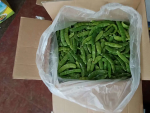 ถั่วสโนว์พีแบบไม่ใช้น้ำมันหิมะสำหรับฟาร์มใช้เป็นวัตถุดิบวัตถุดิบชั้นดีสำหรับการส่งออกจำนวนมากสำหรับซูเปอร์มาร์เก็ตและผู้ค้าส่ง - Product Image 4