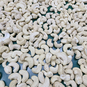 ขายส่งเมล็ดถั่วราคาถูก ซานติโก แคชชู W180 W240 W320 เมล็ดถั่วแคชชูขายส่ง ขนาดตัดตามสั่ง - Product Image 1