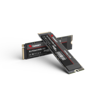 Solid State Drive Internal M.2 PCIe Gen4 NVMe PCIE M2 512GB 1TB 2TB PS5 m.2 SSD