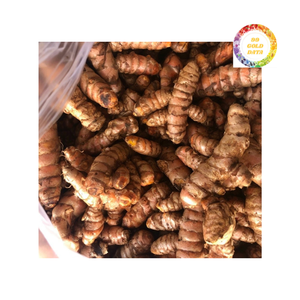 Las mejores ofertas en cúrcuma fresca de alta calidad para servicio de alimentos y venta al por mayor - Product Image 5