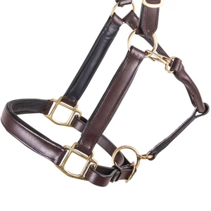 Licol pour cheval en cuir de haute qualité avec laisse et ferrures en laiton, marron - Vente chaude - Product Image 6