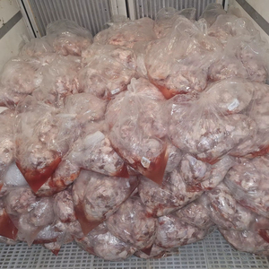 ไก่แช่แข็งฮาลาล คอไก่พร้อมไขมัน บรรจุแยกชิ้นในกล่องหรือถุง - Product Image 1