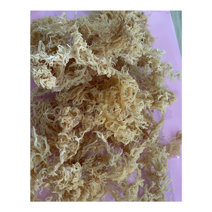 มอสทะเลสีทองอบแห้งจากเวียดนามสาหร่ายไอริชดิบสำหรับสมูทตี้เจลแปรรูปสลัดมอสทะเลตากแห้ง - Product Image 1