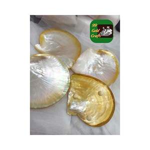 Plat de service traditionnel de luxe en gros Conception unique d'artisanat de nacre du Vietnam Technique polie - Product Image 1