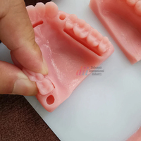Almohadilla de práctica de sutura dental modelo anatómico 3D de silicona para educación médica por Debonairii