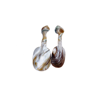 Top <b>Sale</b> Mother of Pearl <b>Seashell</b> Craft Spoon with Fish-shaped Handle <b>for</b> Food tools Tableware Kitchenware Party - Product Image 3