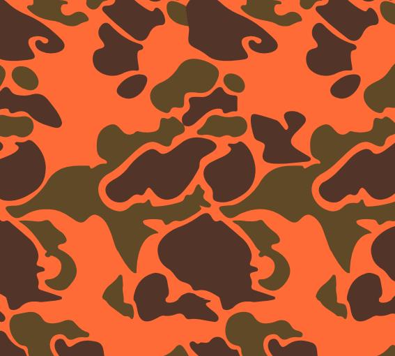 Camo 2