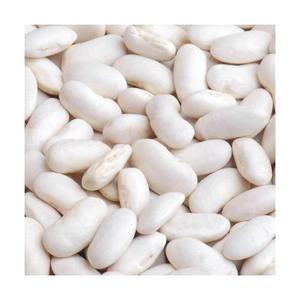 Vente chaude Bonne qualité Santé Long Blanc Sucre Haricots Blancs Secs Haricots Blancs - Product Image 4