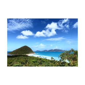 Troncos de haya Excelentes para propiedades de trabajo en todos los proyectos Precios bajos disponibles - Product Image 1