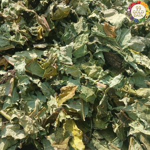 Feuilles de papaye séchées naturelles Origine Vietnam Fabriquées à partir de feuilles de papaye propres Pour la fabrication de thé et les applications alimentaires - Product Image 3