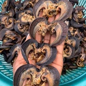 Venta al por mayor de caracoles secos de África limpiados y envasados al vacío