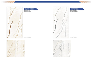 Azulejos de Porcelana Cerámica de Diseño Moderno, 600x1200 mm, Superficie Homogénea de Cuerpo Completo, 8 mm de Grosor, para Uso en Apartamentos - Product Image 2