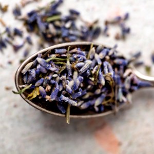 Meilleur vendeur fleur de pois papillon séché prix le moins cher pois bleus secs vente en gros divers bleuets du Vietnam - Product Image 2