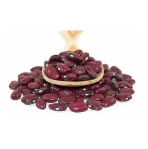 Pemasok Harga murah dari Jerman 100% kacang merah tua kacang ginjal merah tanaman baru harga grosir dengan pengiriman cepat
