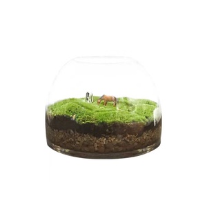 <span class=keywords><strong>Botanica</strong></span> โมเดิร์นปราสาทแก้ว Succulent Air ชาวไร่ไม้แจกันตกแต่งคริสต์มาสงานแต่งงานโมเดิร์น Glass Terrarium - Product Image 1