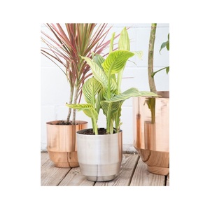 Vente chaude Décor À La Maison Plantes Pot Forme Personnalisée Décoration Intérieure Jardinières Pour Balcon Décor Plantes Pot À Bas Prix - Product Image 1