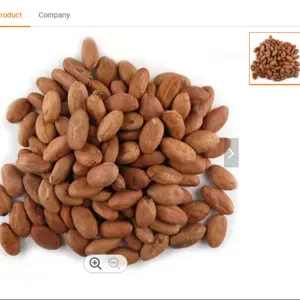 Sun Dried Raw Cocoa Beans, Cocoa Beans Suppliers, Manufacturers, Wholesalers