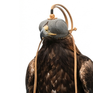 Custom Soft Leather Falconry Hood Hunting Falcon Embossed Design Outdoor Equipment One Size All Seasons Portable Lightweight - Product Image 1