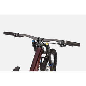 Demostración Especializada 2024 - Product Image 5