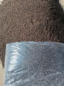 Pimienta negra cruda Preguntas frecuentes 400 450 500 550 GL DENSIDAD Mr Thomas Nguyen WS 84 789896886 - Product Image 5