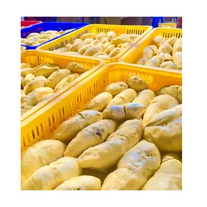 High quality Dona durian fruit from Vietnam wholesale fresh durian frozen durian From Vietnam 99 Gold Data