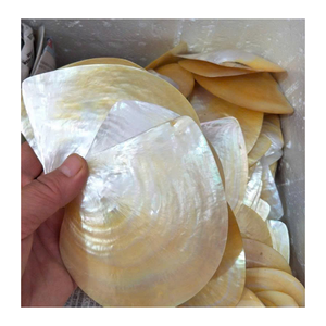 Pièces de coquille de nacre Vietnam tranches de nacre pour la décoration de bijoux panneaux artisanaux et incrustation de meubles oeuvres d'art - Product Image 3