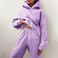 Survêtement d'hiver pour femme enceinte grande taille, marron uni, sans couture, haute qualité, avec logo personnalisé, marque privée, vente en gros