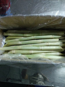 Bâtonnets de canne à sucre surgelés de qualité supérieure et bâtonnets de canne à sucre biologiques Imperata Cylindrica et Imperata Cylindrica du Vietnam - Product Image 2