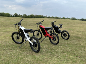 Vélo électrique tout-terrain SS30 3000W 48V avec moteur roue arrière, pneus larges 19 pouces, vitesse élevée 80 km/h, autonomie 80 km, en stock - Product Image 5