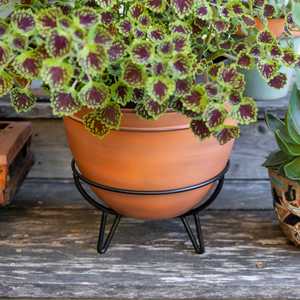 Soporte de Metal para Plantas y Macetas, Moderno y de Primera Calidad, para Uso Decorativo en Interiores y Exteriores, Venta Directa de Fábrica - Product Image 3