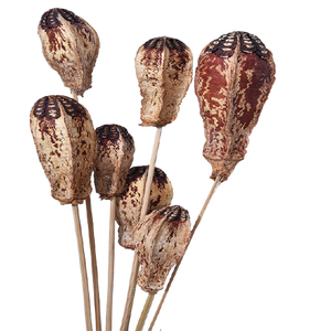 Potpourri Slice Potpourri Caoba Vass Rellenos Día DE LA MADRE Día de San Valentín Día de Navidad Gracias Regalos - Product Image 5