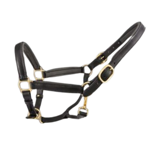 Licol de cheval en cuir écologique de qualité supérieure produit de cheval de haute qualité en gros - Product Image 1